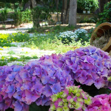 VersoMare room & suite